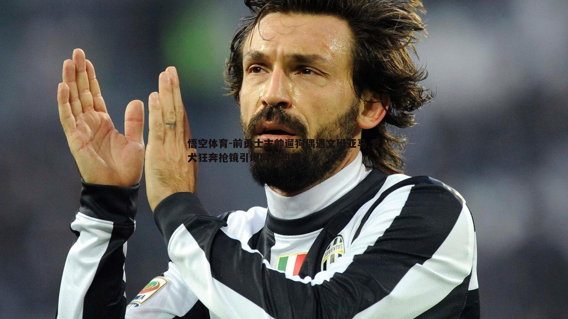 前勇士主帅遛狗偶遇文班亚马 爱犬狂奔抢镜引爆网络热潮